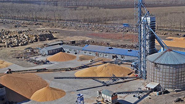 糧食烘干合作社如何做到年節(jié)省90萬元？利民萬佳鍋爐為您解析