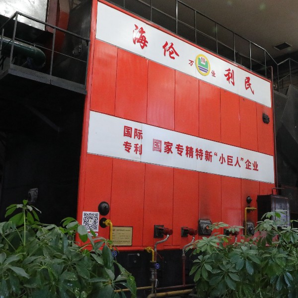 DZLS生物質半氣化秸稈直燃捆燒鍋爐 DZLS生物質半氣化秸稈直燃捆燒鍋爐