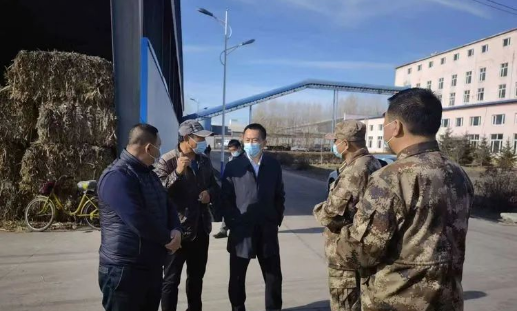 領(lǐng)導視察秸稈打捆直燃鍋爐供熱